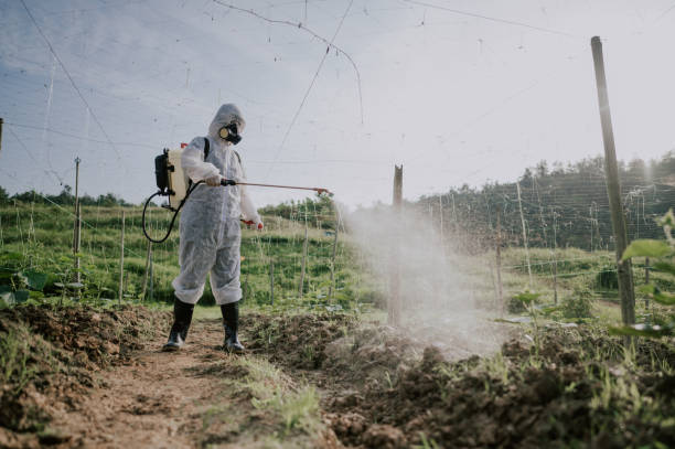 Best Ant Control Services  in St Anthony, MN