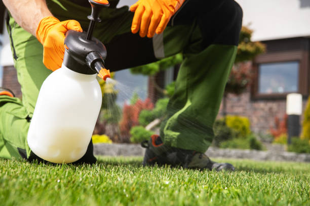 Professional Pest Control in St Anthony, MN